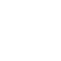 Check settings icon