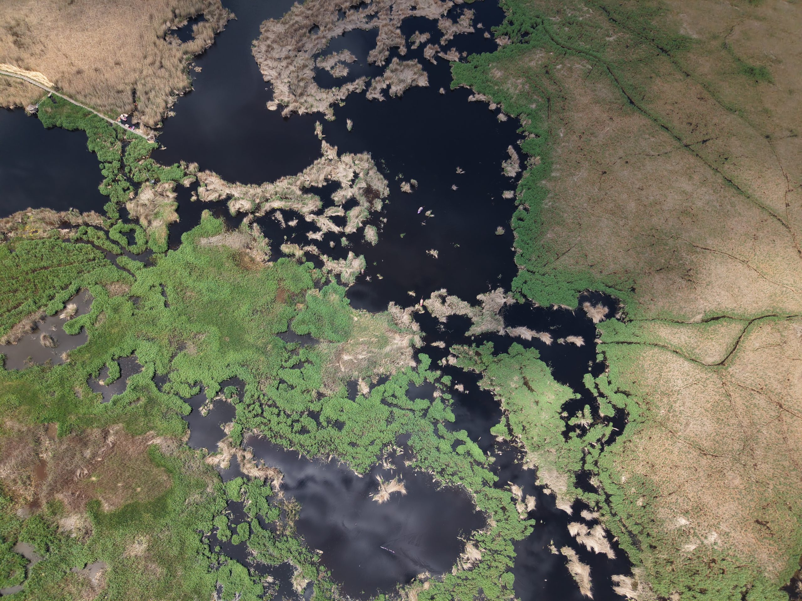 How do I source high-quality carbon credits efficiently, safely, and at the right price?
